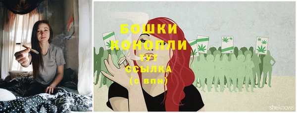 трава Балахна