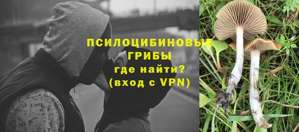 трава Балахна