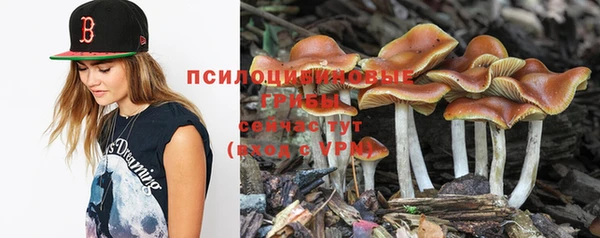 гашик Баксан
