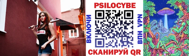 где можно купить   Усть-Джегута  Псилоцибиновые грибы ЛСД 